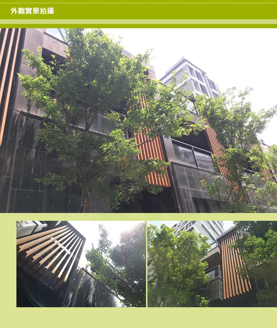 甲山林天墅建案圖輯 2